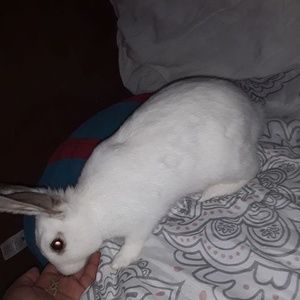 Meet your Posher, Carlos